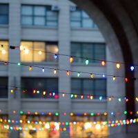 Case Studies Police Misconduct Incidents During Los Angeles Holiday Events